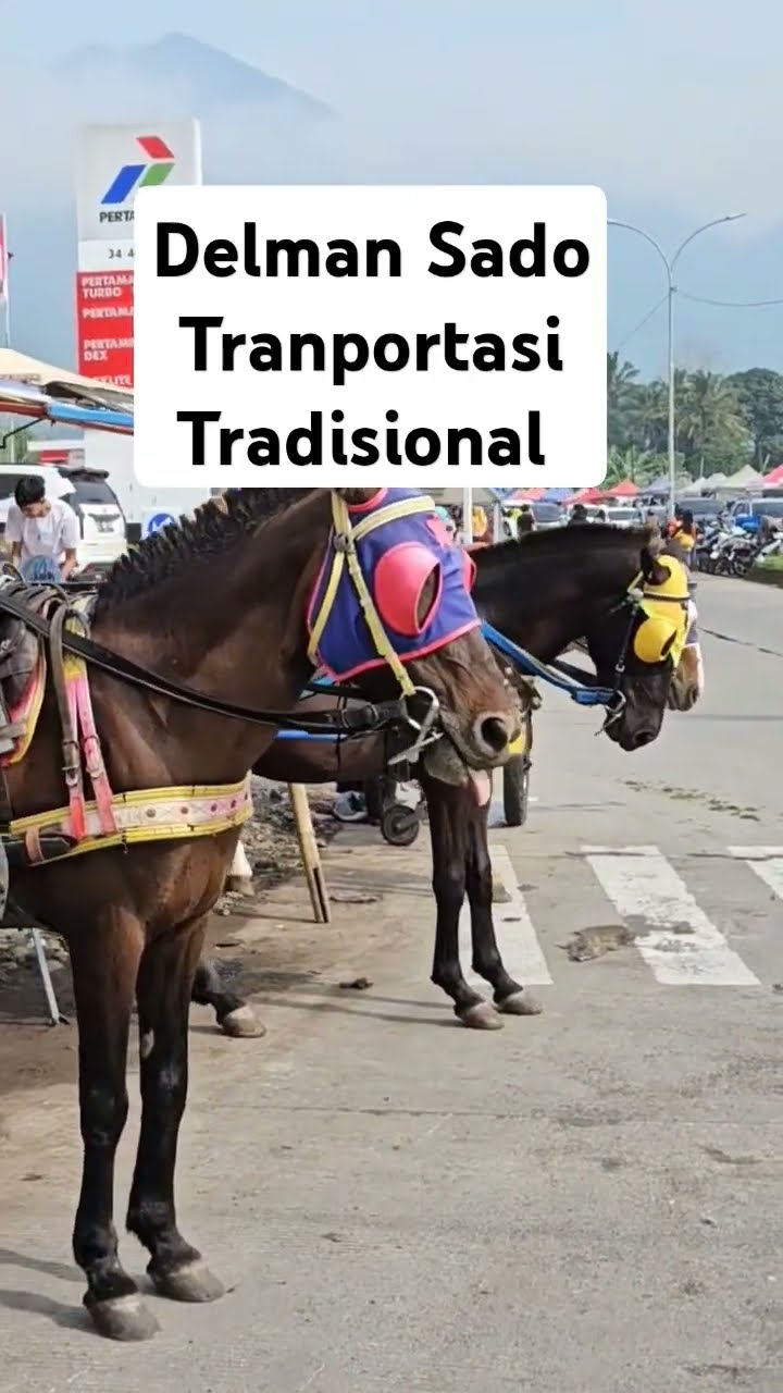 Kendaraan Tradisional Delman